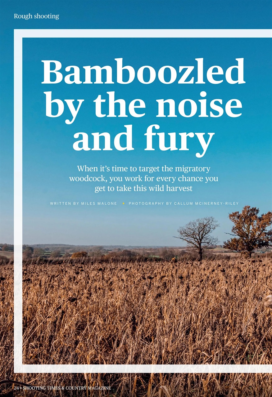 Shooting Times & Country Preview Pages