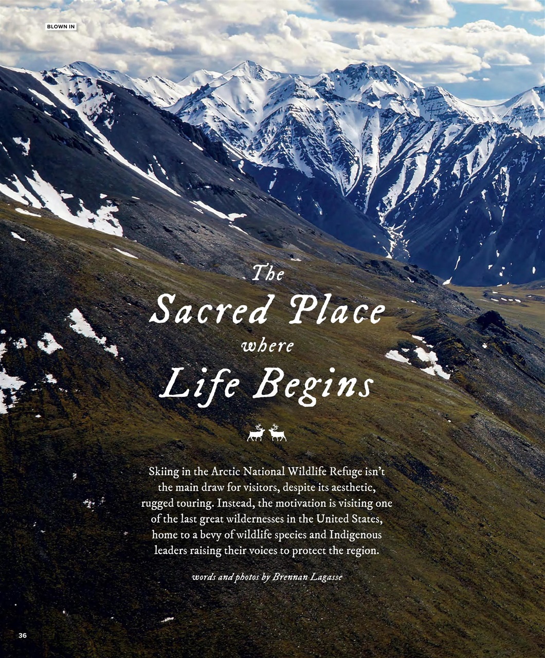 Backcountry Preview Pages