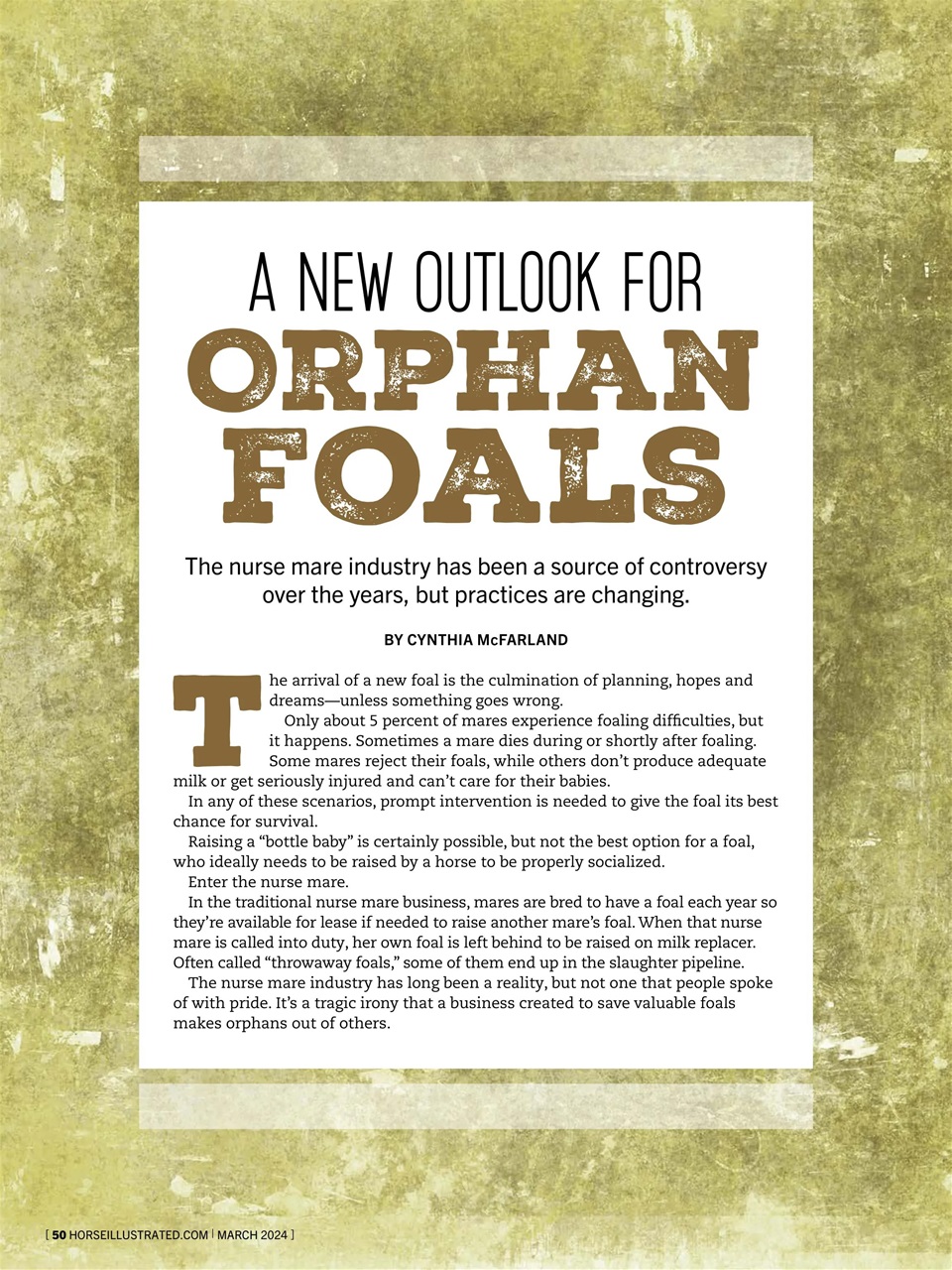 Horse Illustrated Magazine Preview Pages