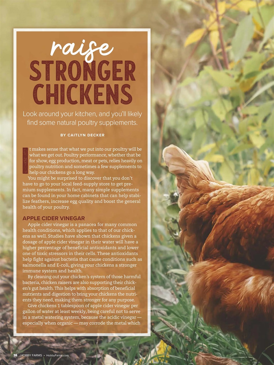 Hobby Farms Magazine Preview Pages