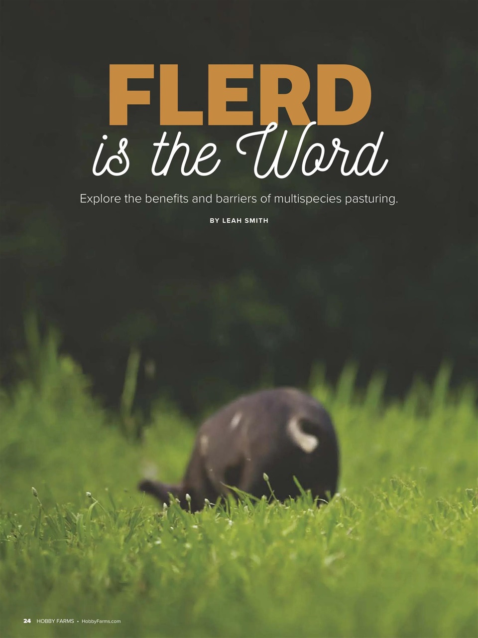 Hobby Farms Magazine Preview Pages