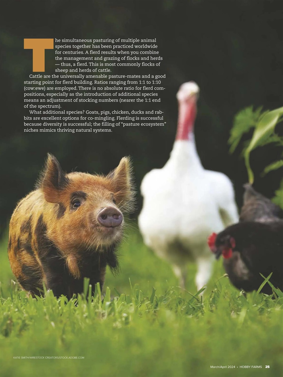 Hobby Farms Magazine Preview Pages