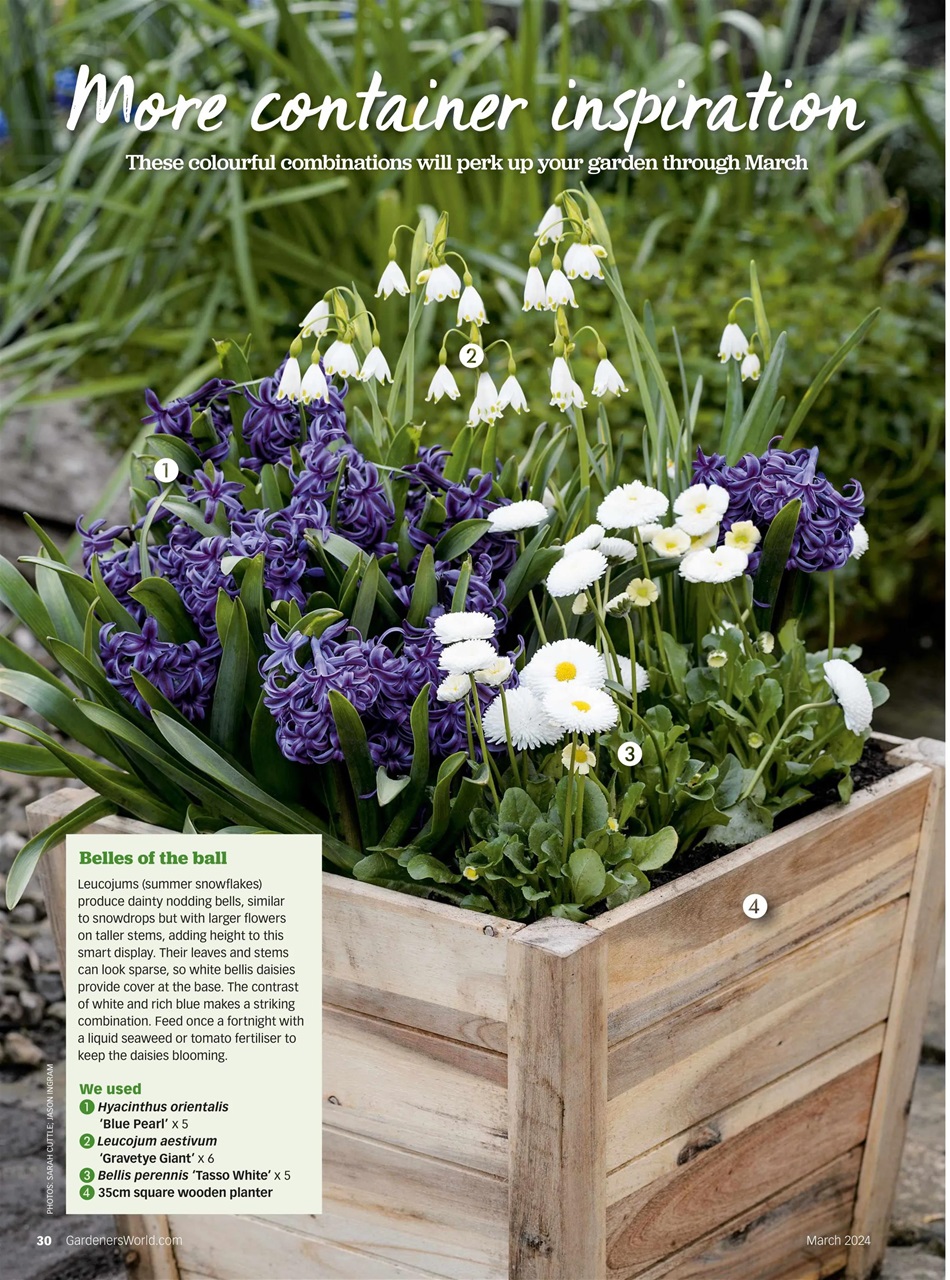 BBC Gardeners’ World Magazine Preview Pages