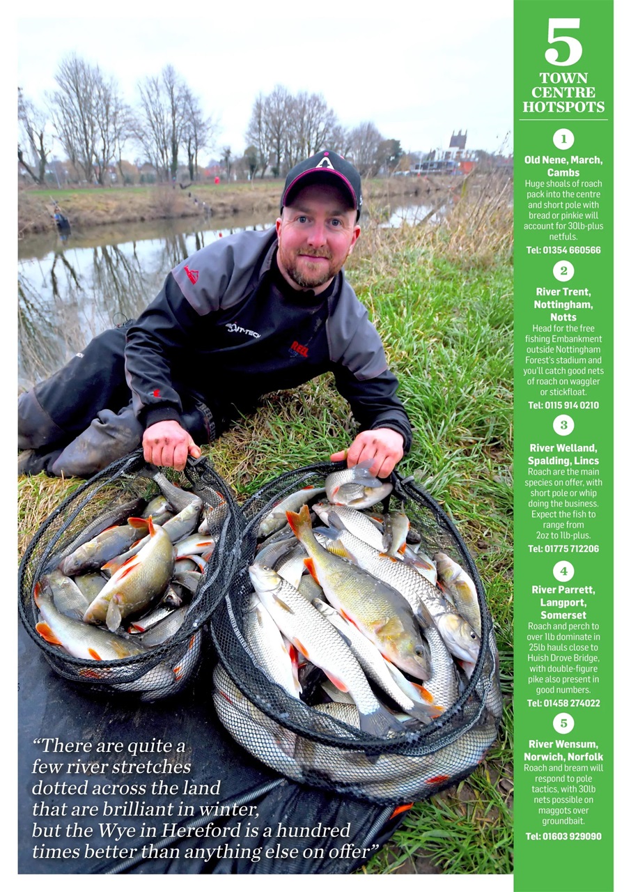 Improve Your Coarse Fishing Preview Pages