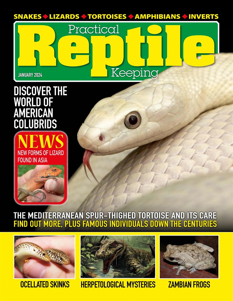 Practical Reptile Keeping Magazine - January 2024 Back Issue