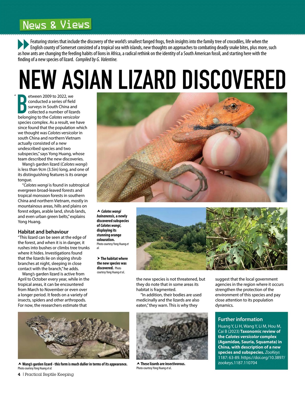 Practical Reptile Keeping Preview Pages