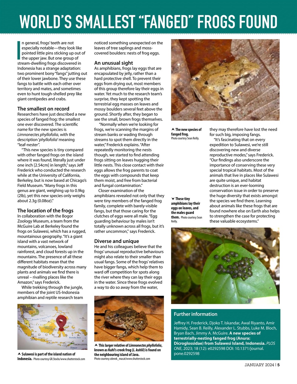 Practical Reptile Keeping Preview Pages