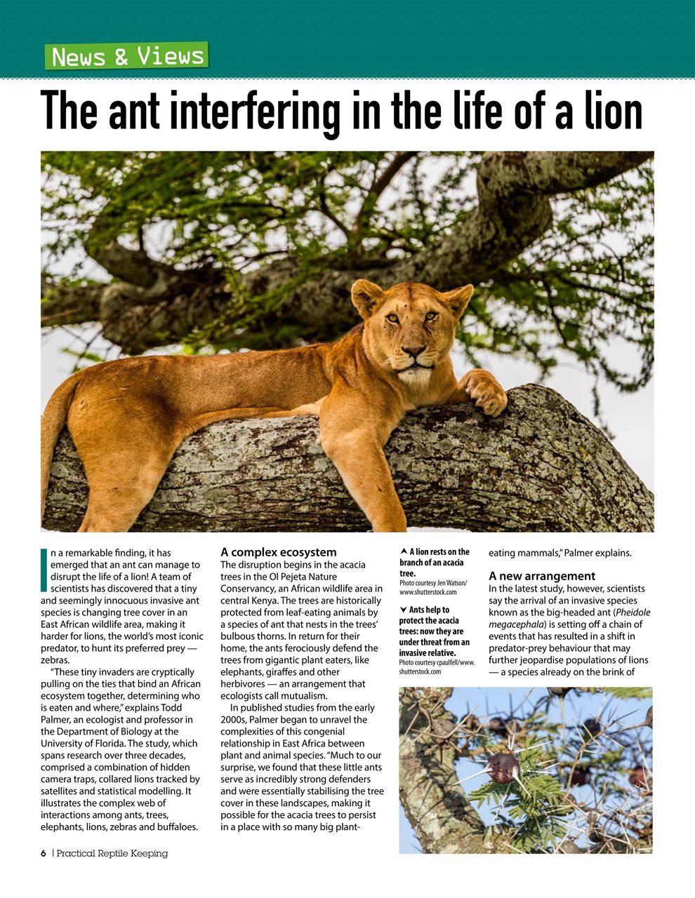 Practical Reptile Keeping Preview Pages