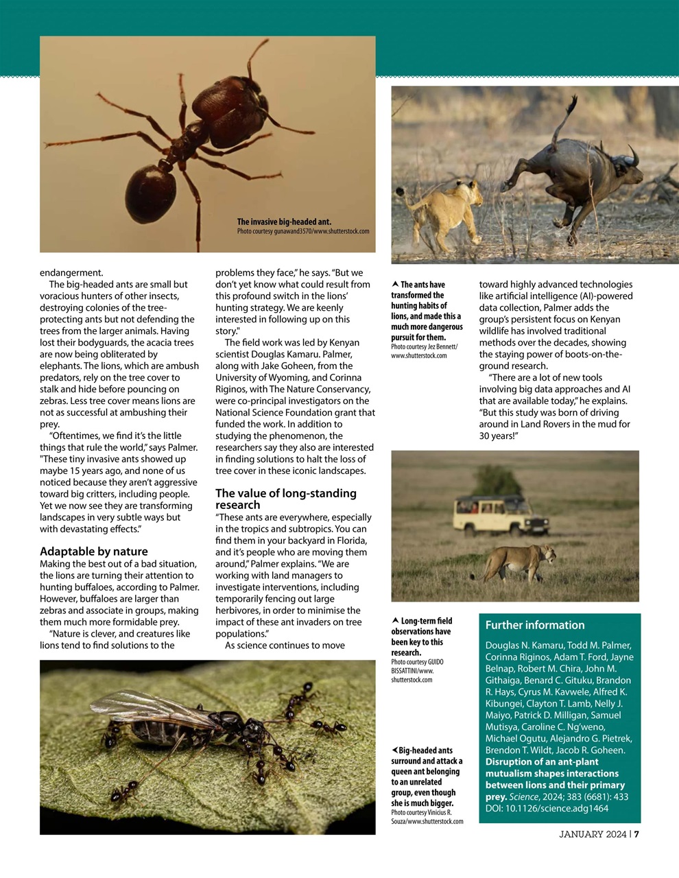 Practical Reptile Keeping Preview Pages