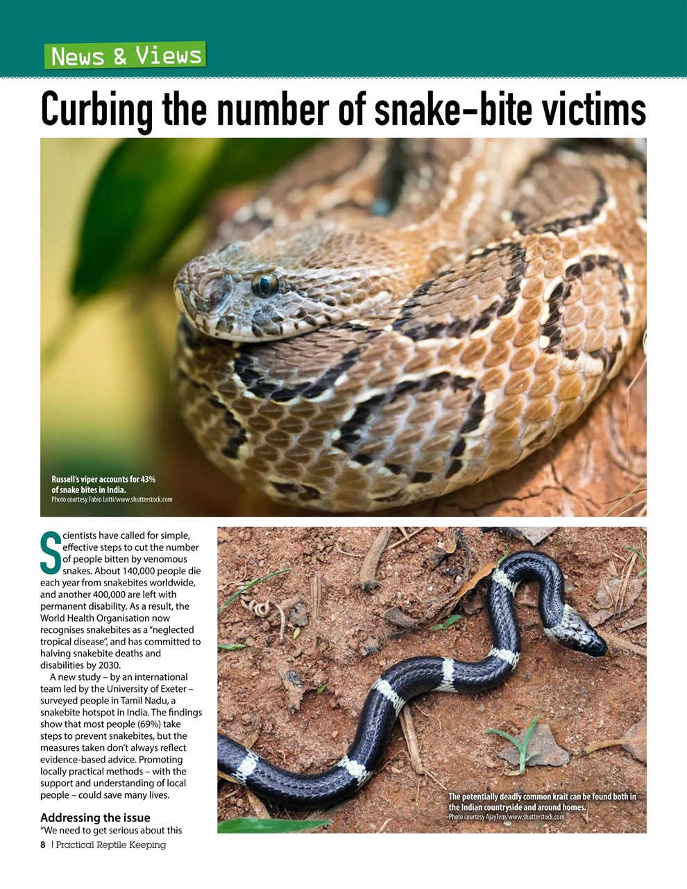 Practical Reptile Keeping Preview Pages
