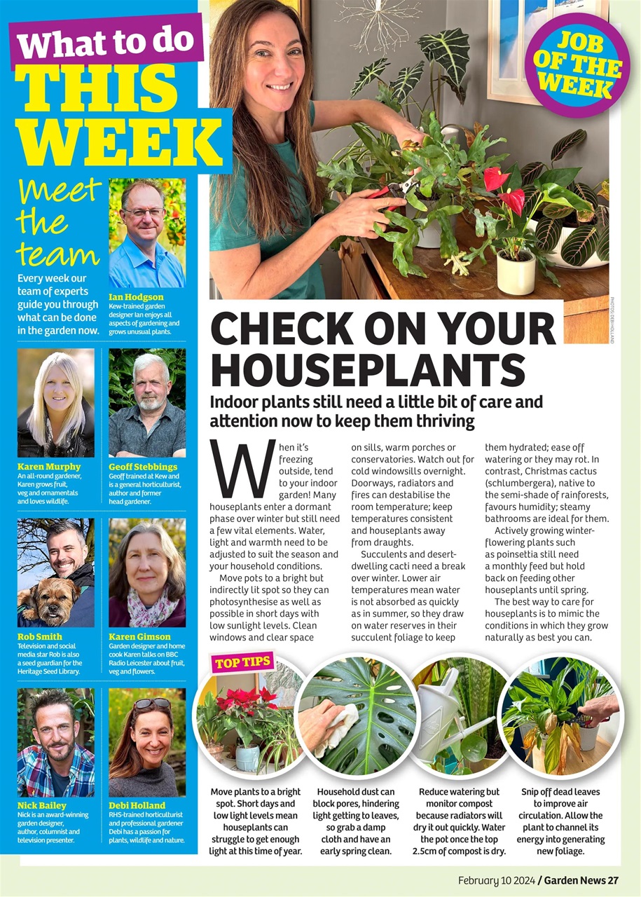 Garden News Preview Pages