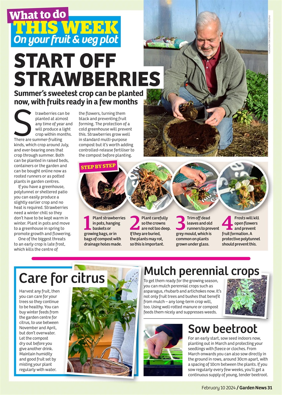 Garden News Preview Pages