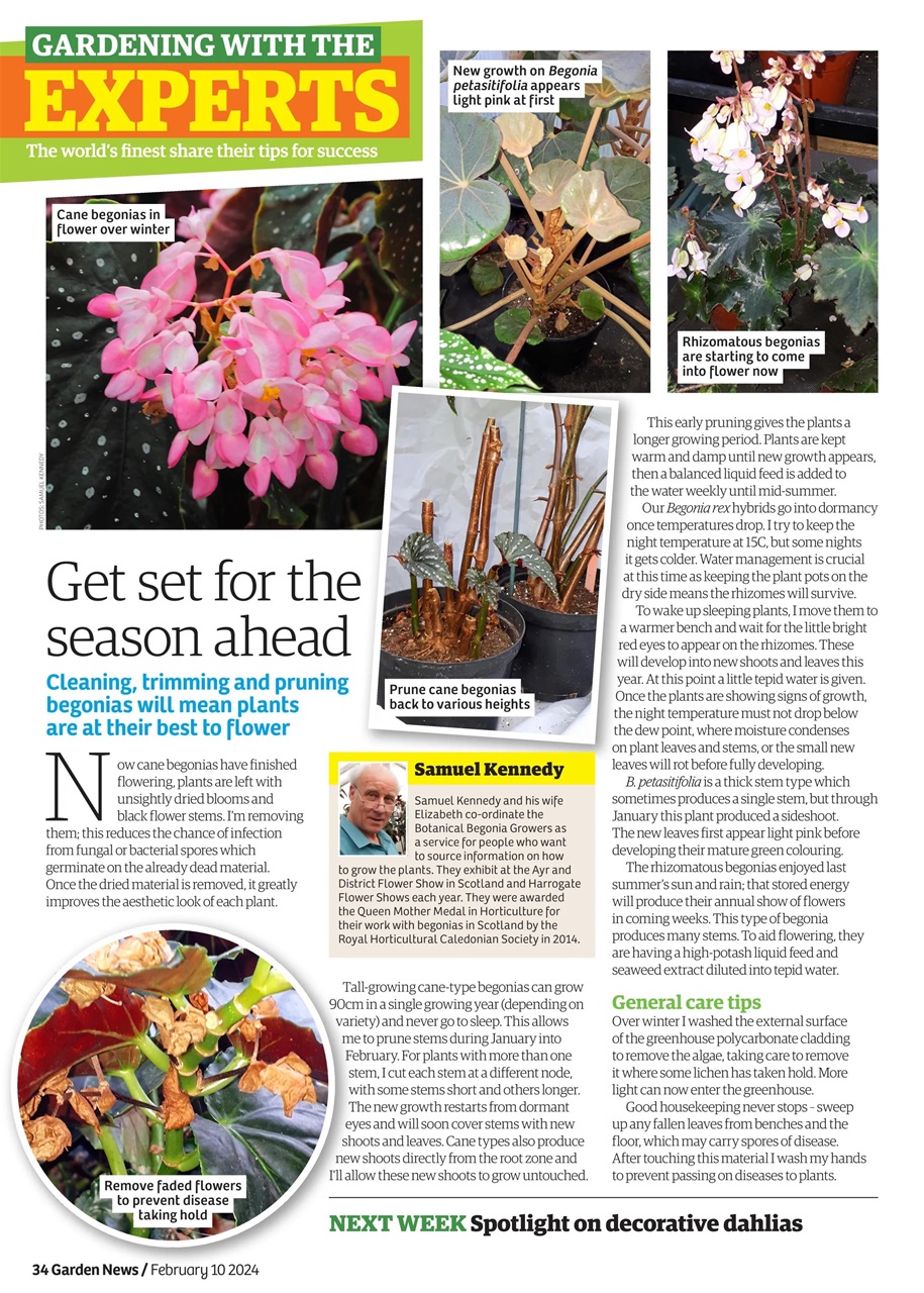 Garden News Preview Pages