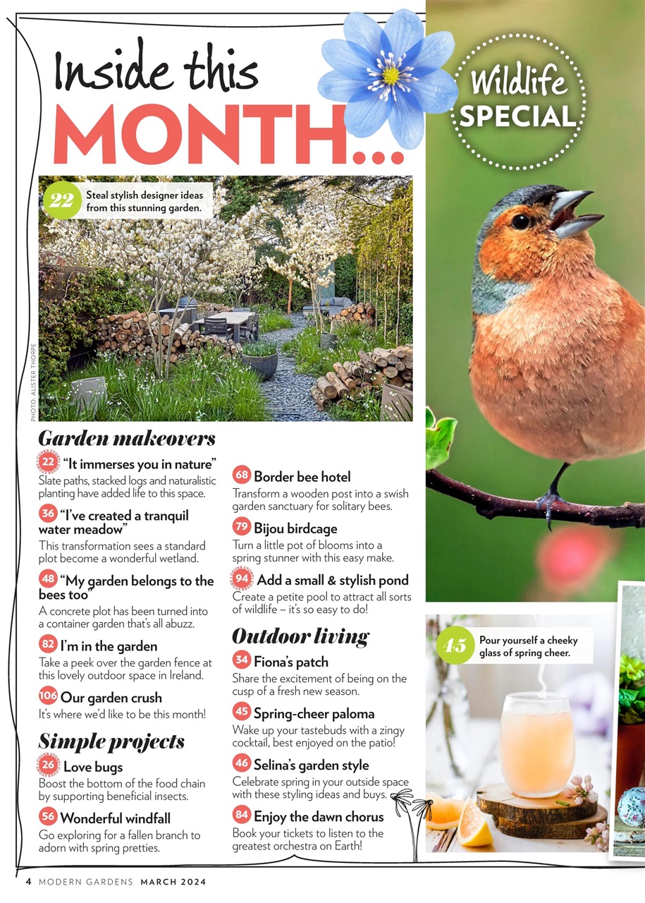 Modern Gardens Preview Pages
