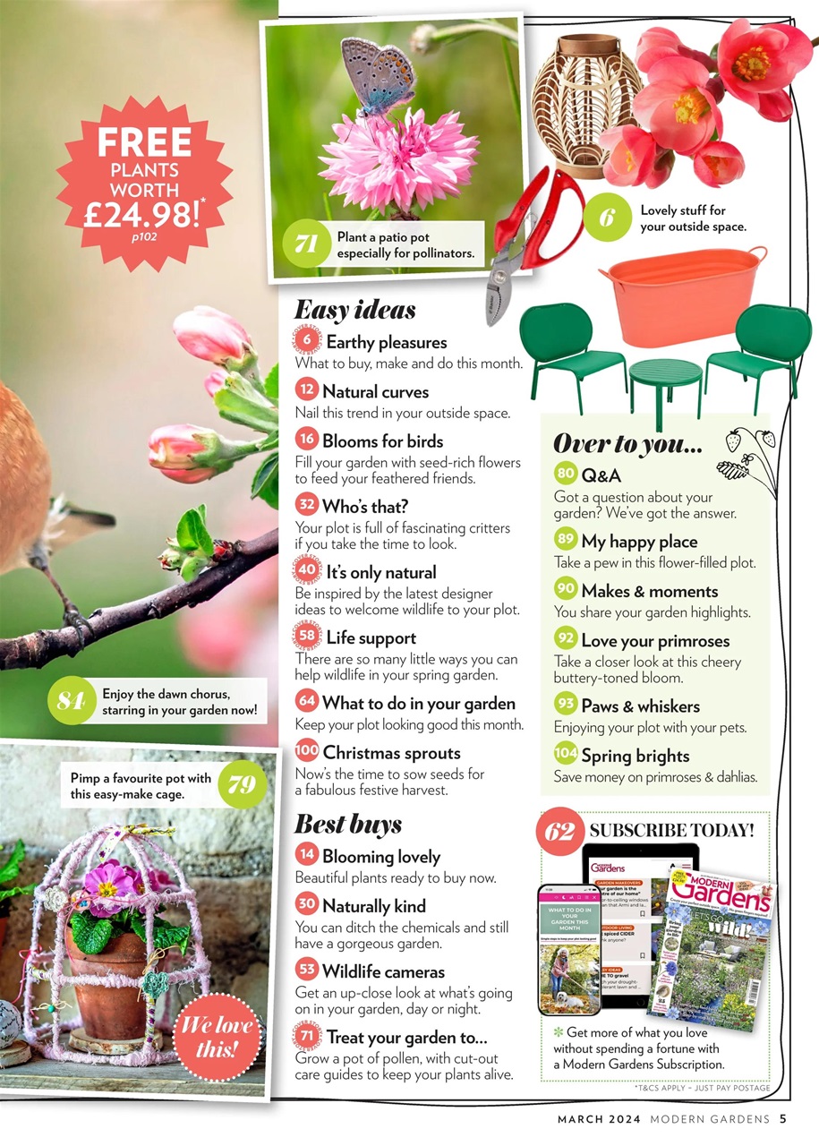 Modern Gardens Preview Pages