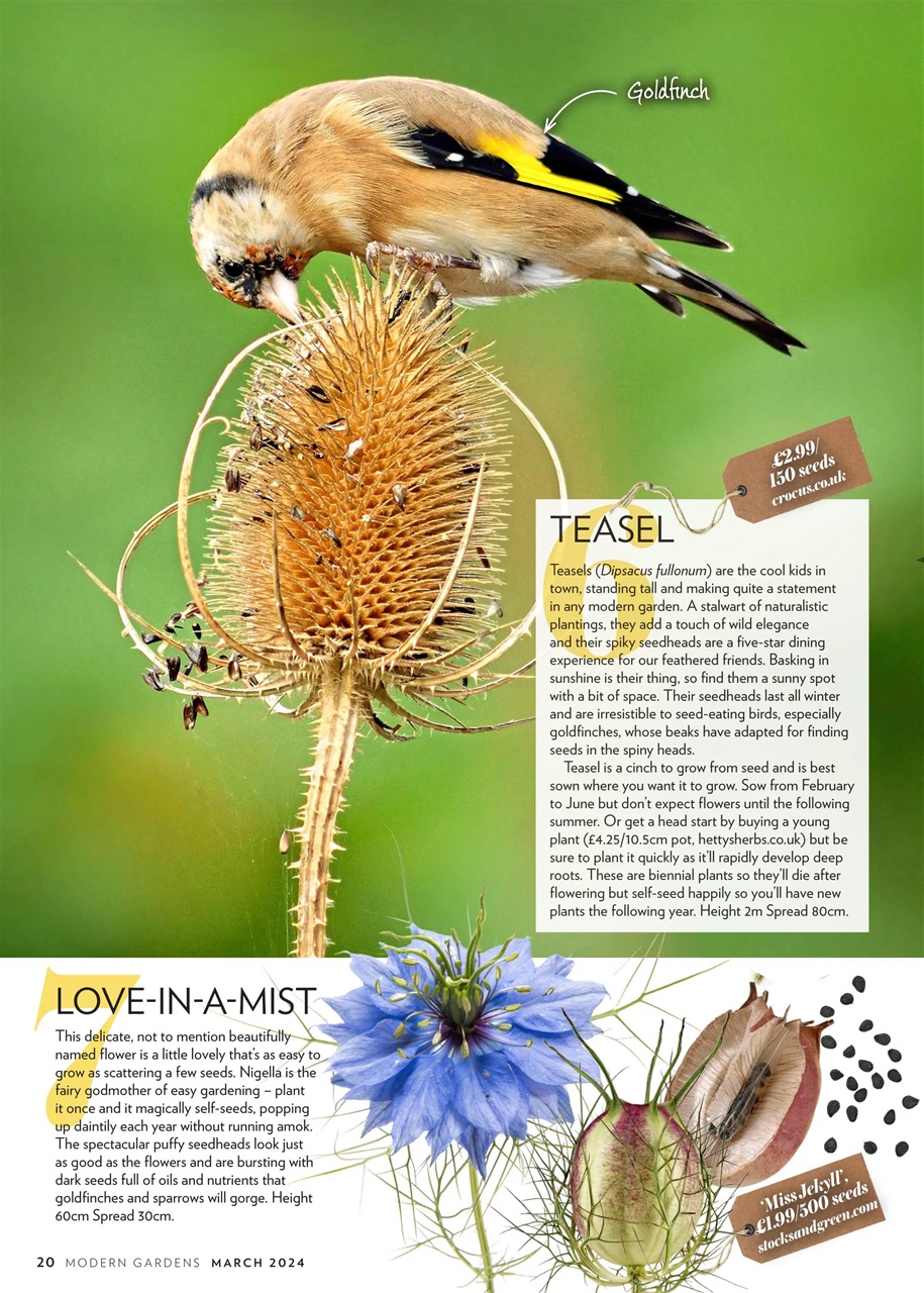 Modern Gardens Preview Pages