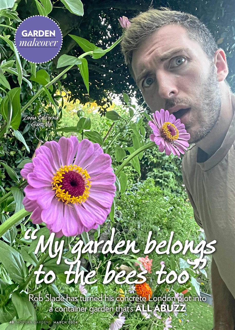 Modern Gardens Preview Pages