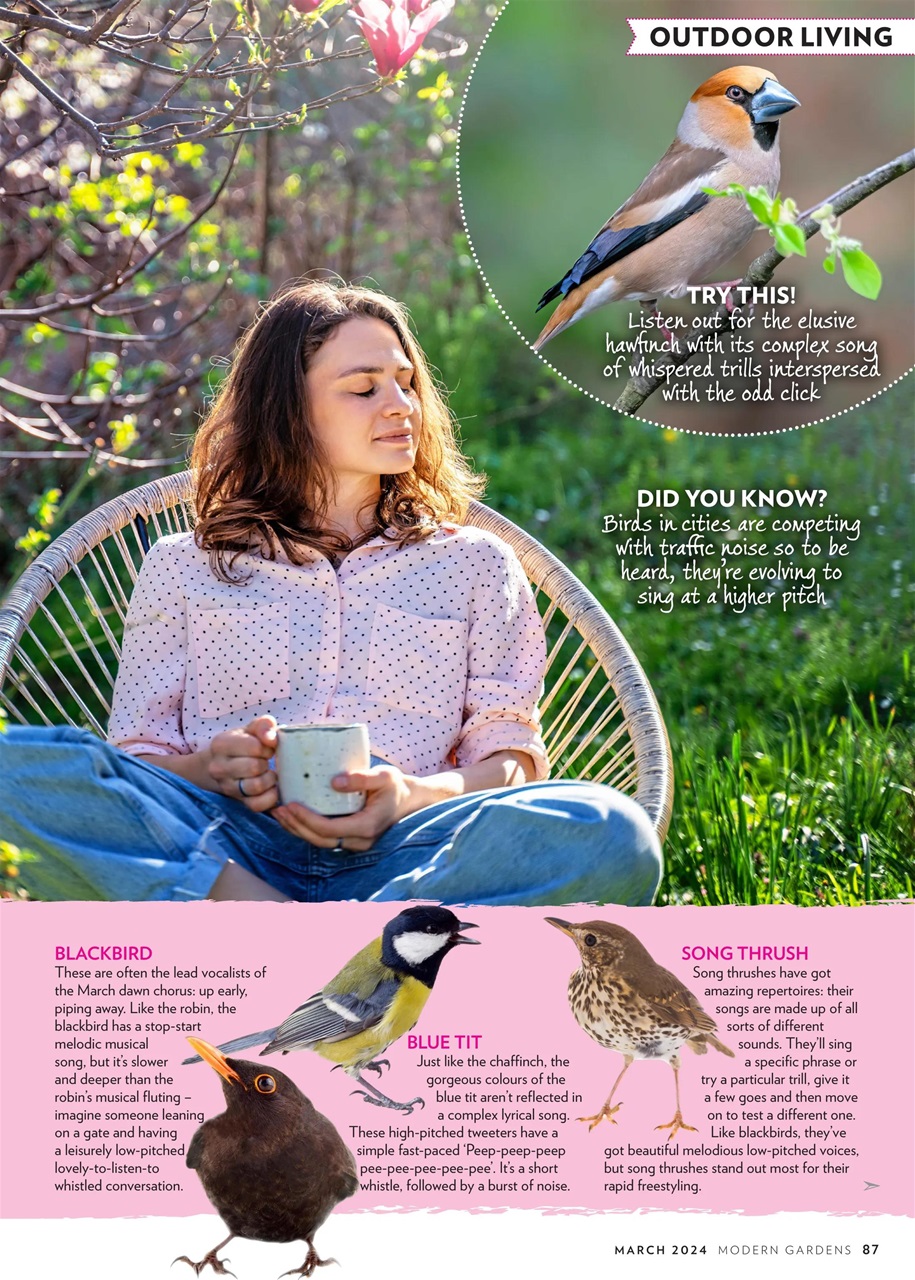 Modern Gardens Preview Pages