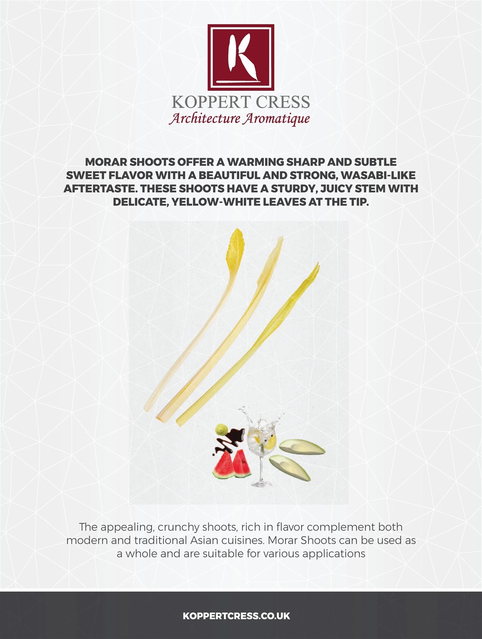 Chef & Restaurant Magazine Preview Pages