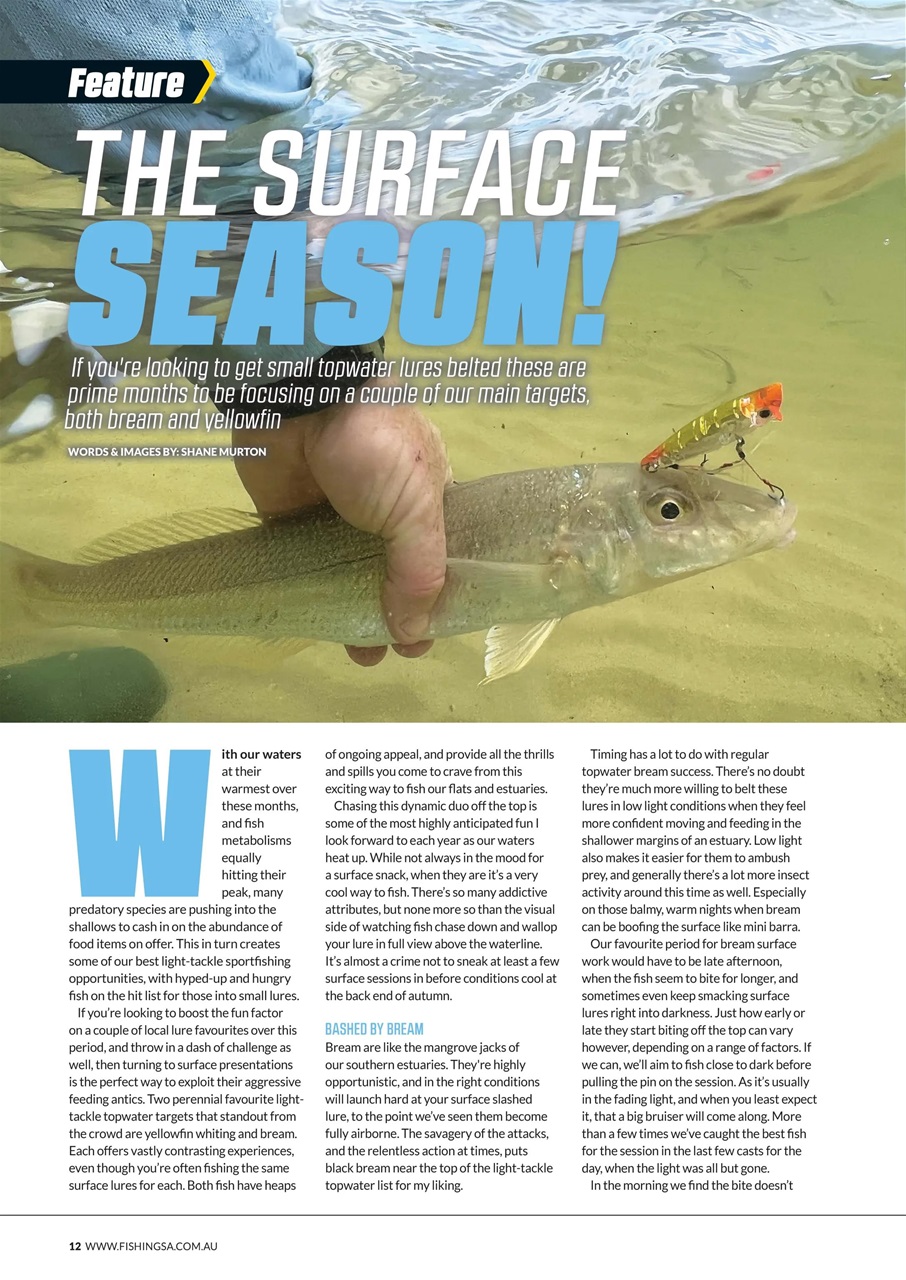 Fishing SA Preview Pages