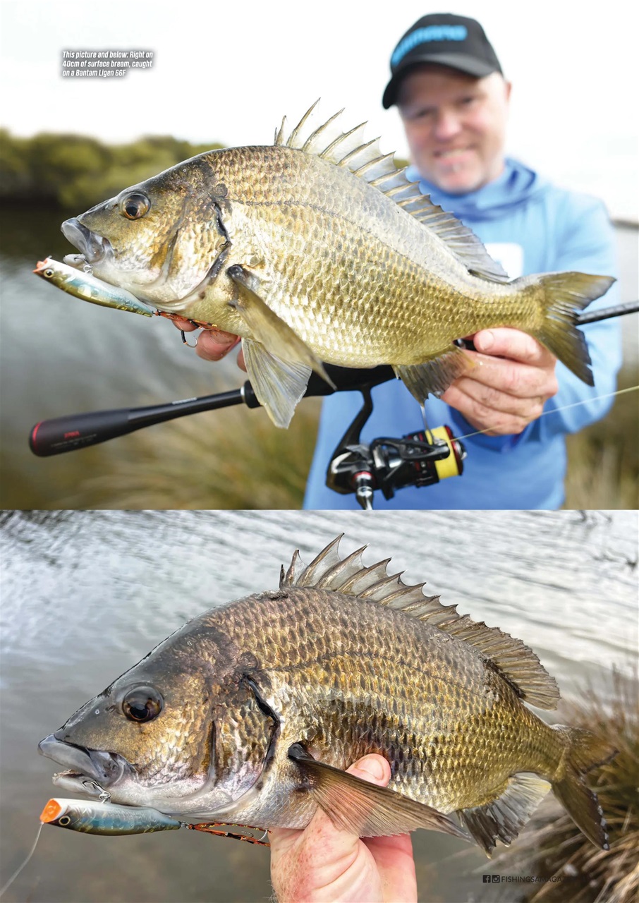 Fishing SA Preview Pages