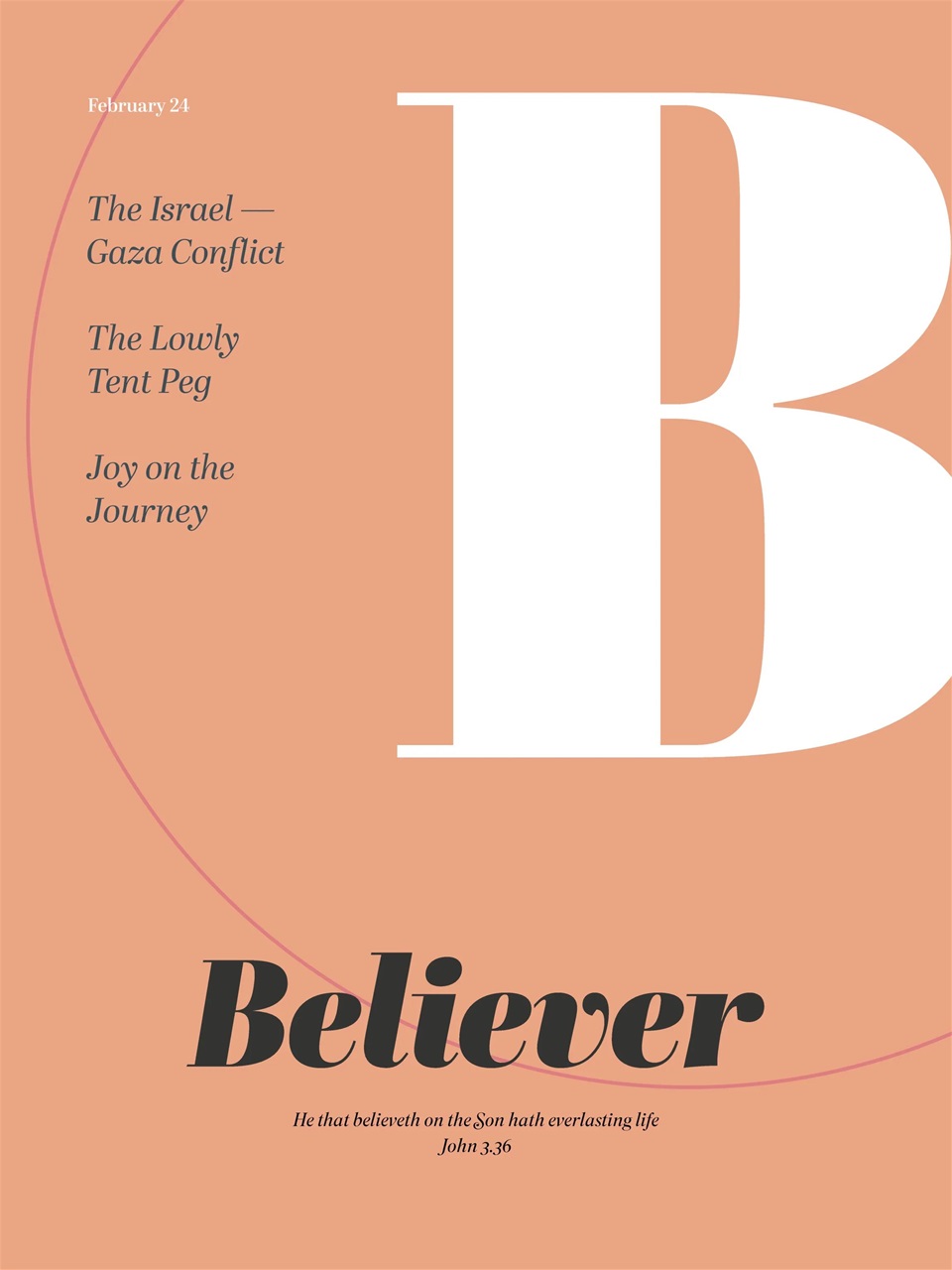 Believer Magazine Preview Pages