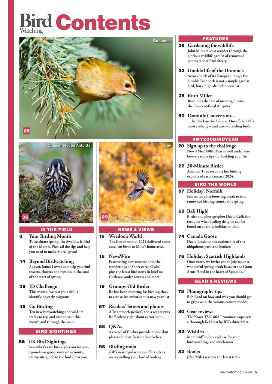 Bird Watching Preview Pages