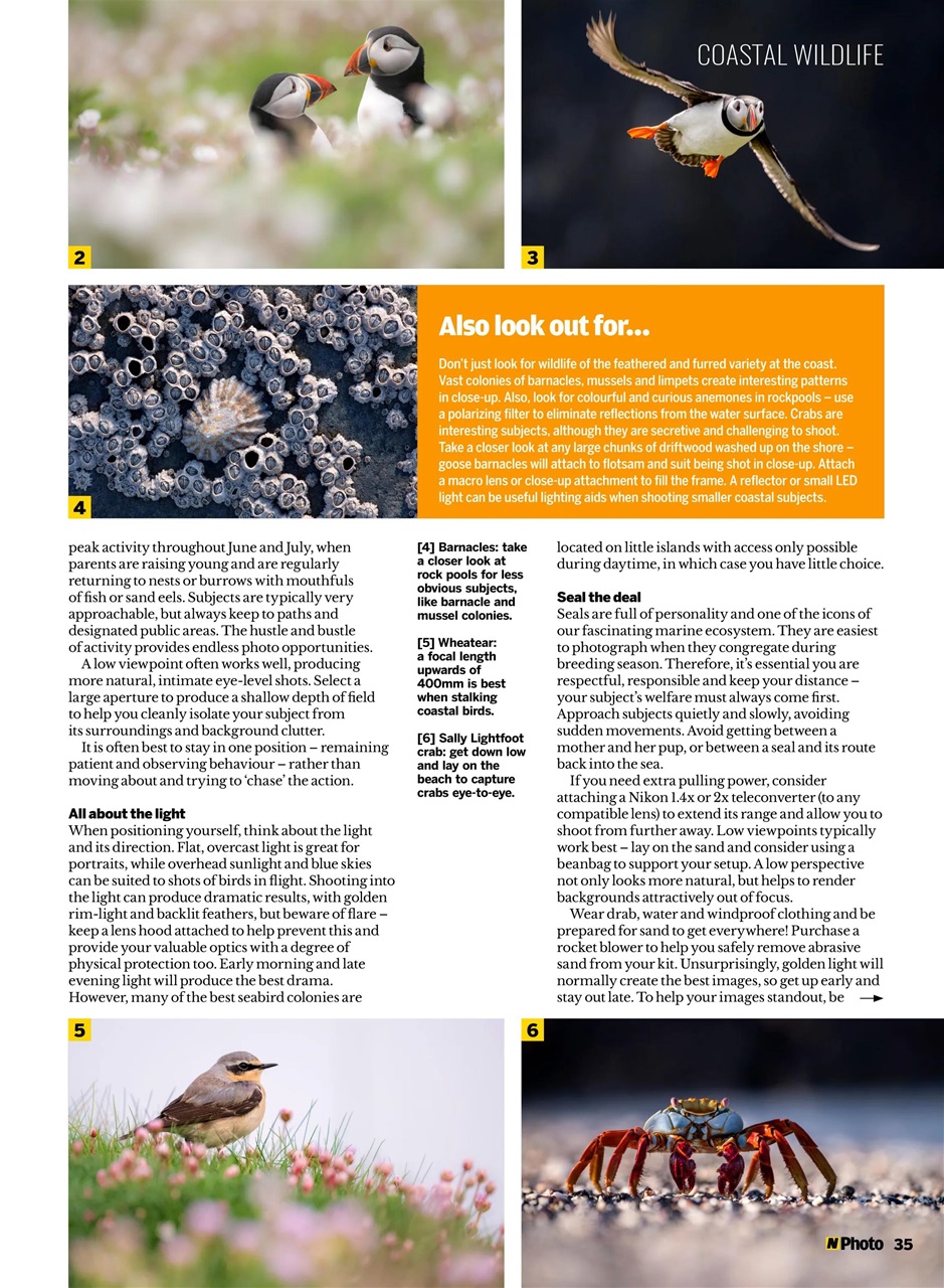 N-Photo Preview Pages