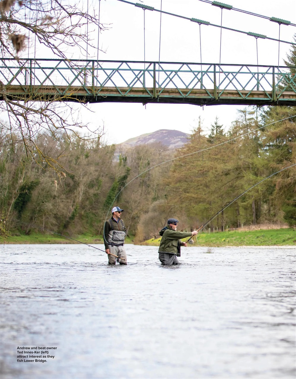 Trout & Salmon Preview Pages