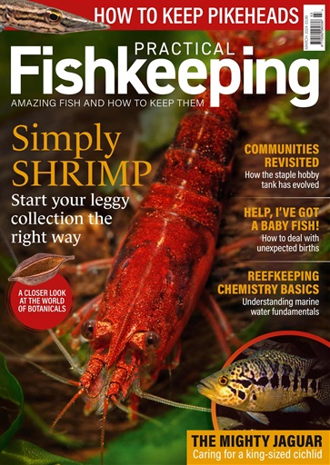 Practical Fishkeeping issue 