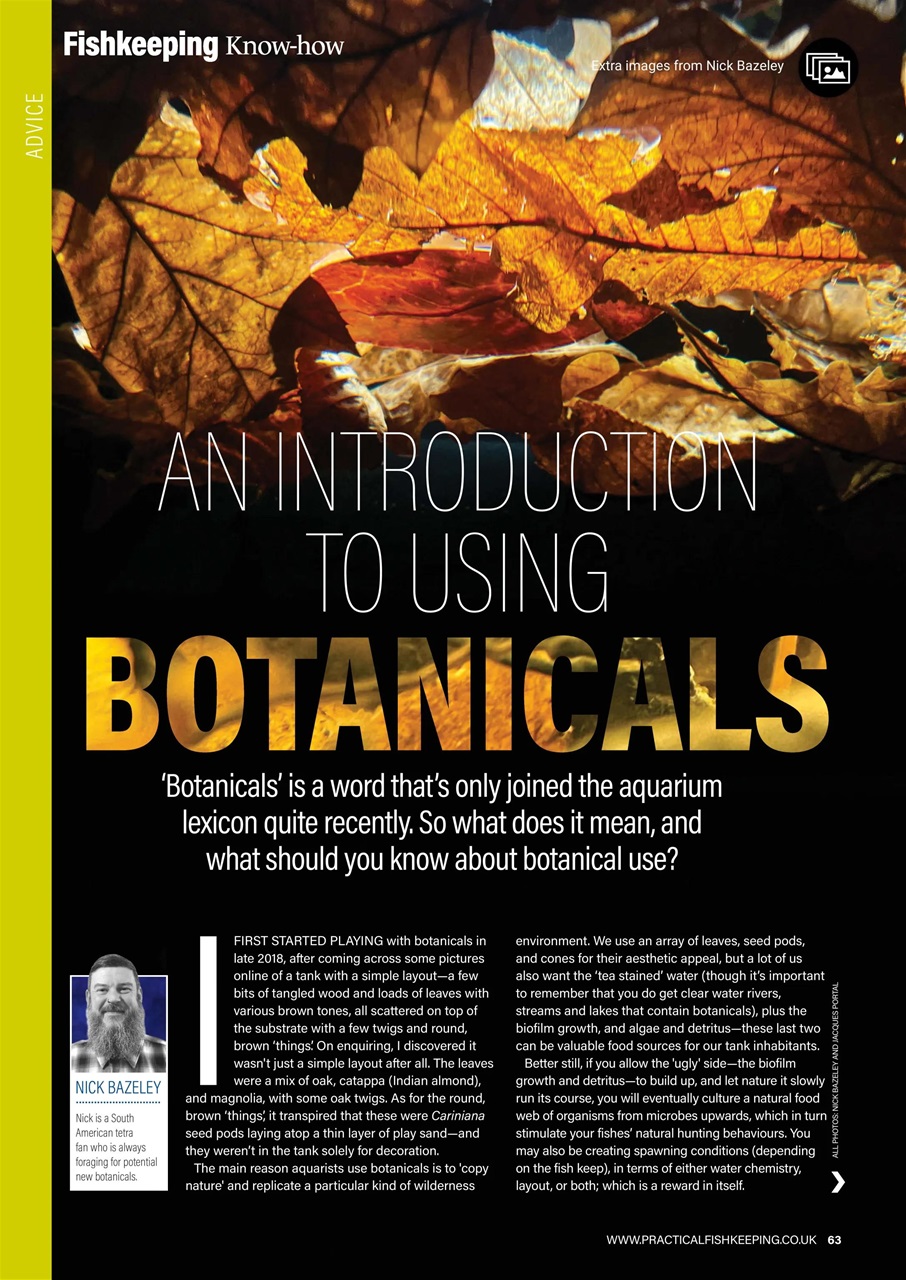 Practical Fishkeeping Preview Pages