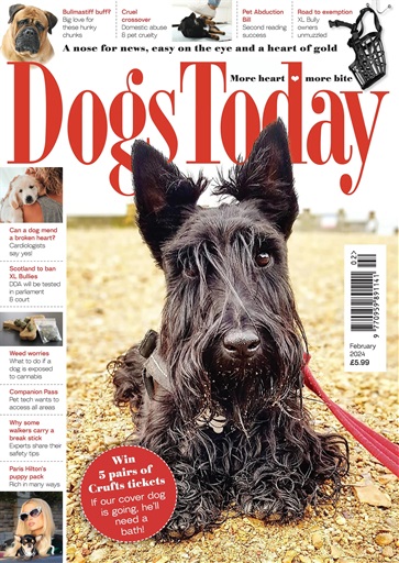 Dogs Today Magazine issue 
