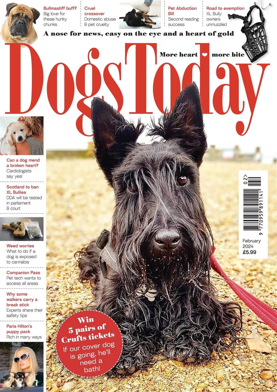 Dogs Today Magazine Preview Pages
