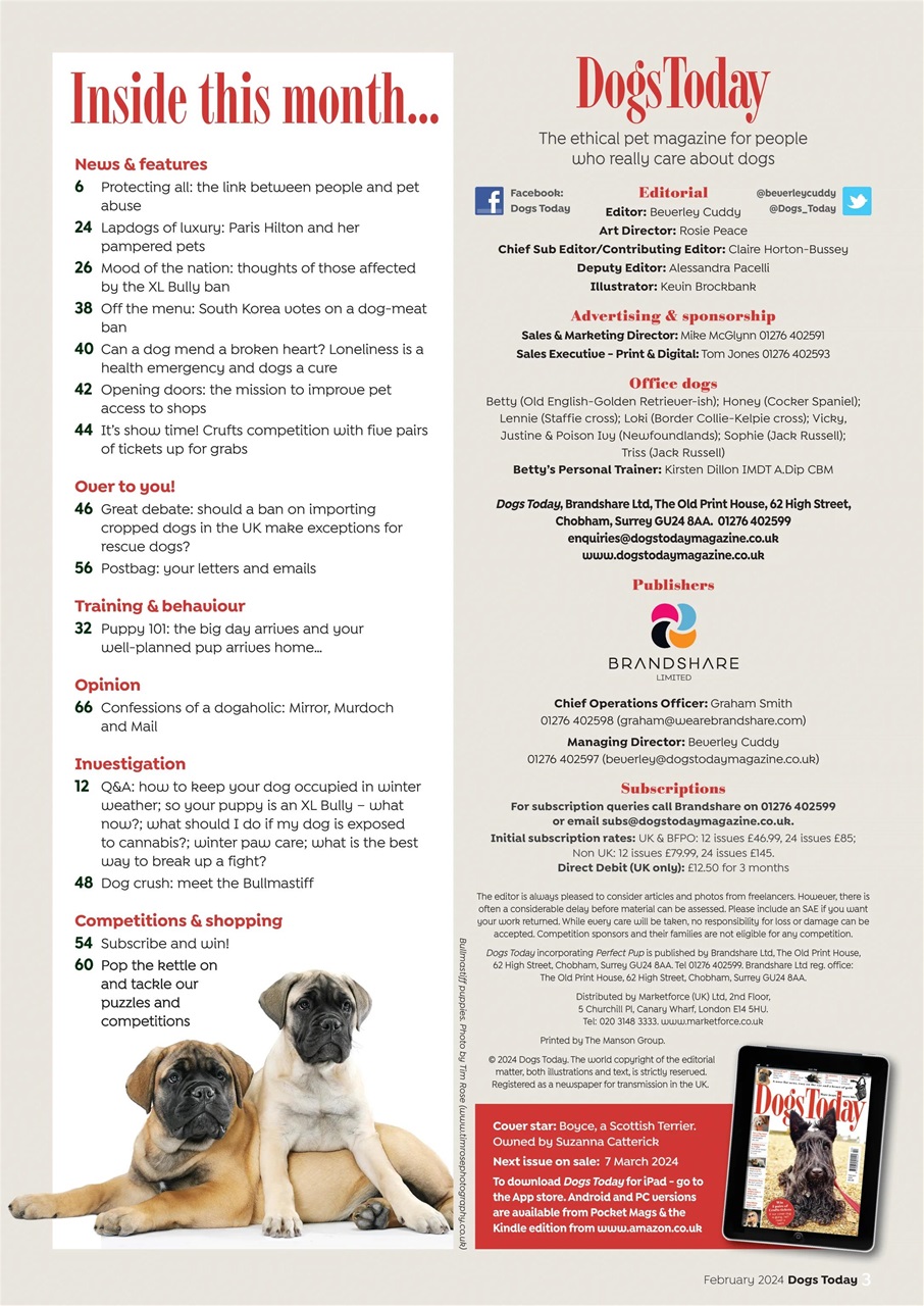 Dogs Today Magazine Preview Pages