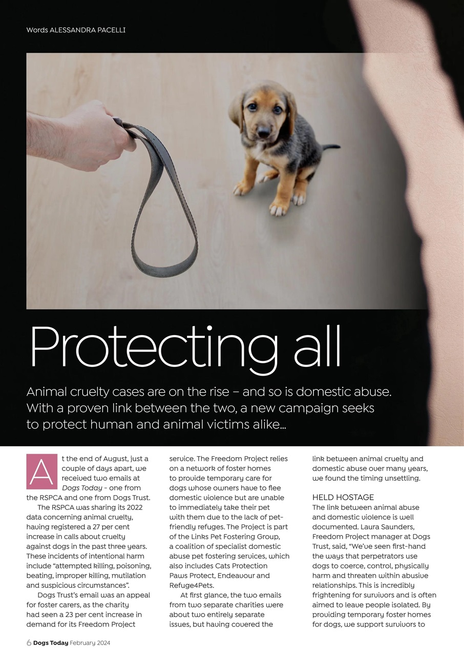 Dogs Today Magazine Preview Pages