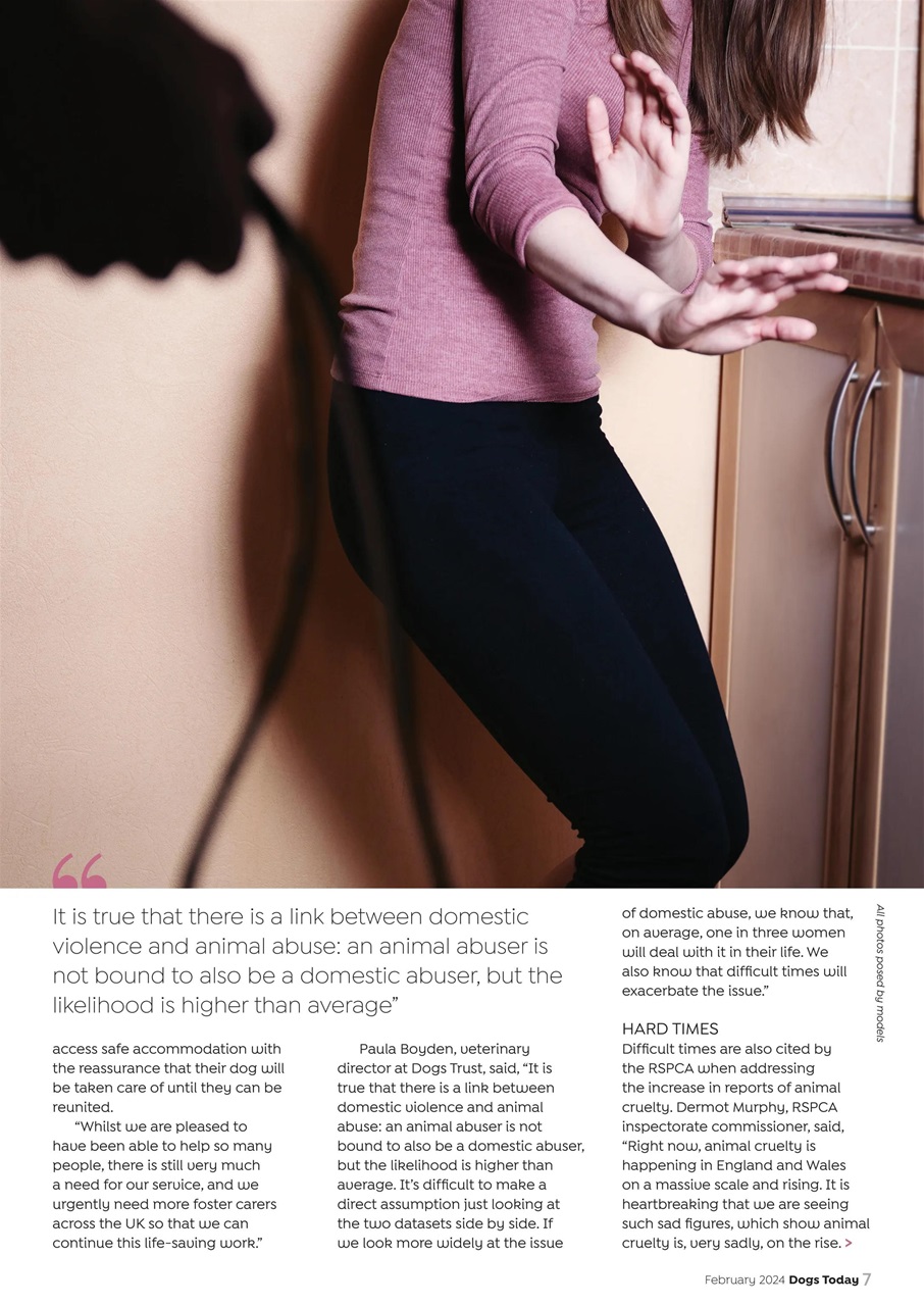 Dogs Today Magazine Preview Pages