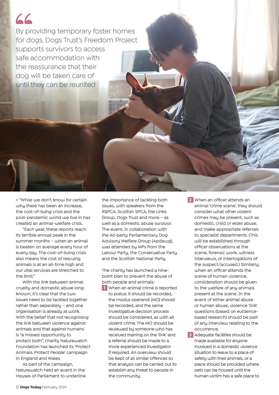 Dogs Today Magazine Preview Pages