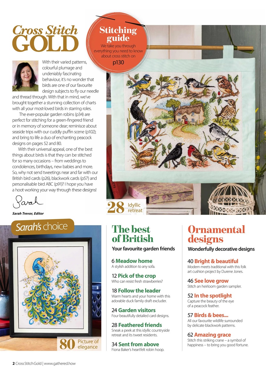 The World of Cross Stitching Preview Pages