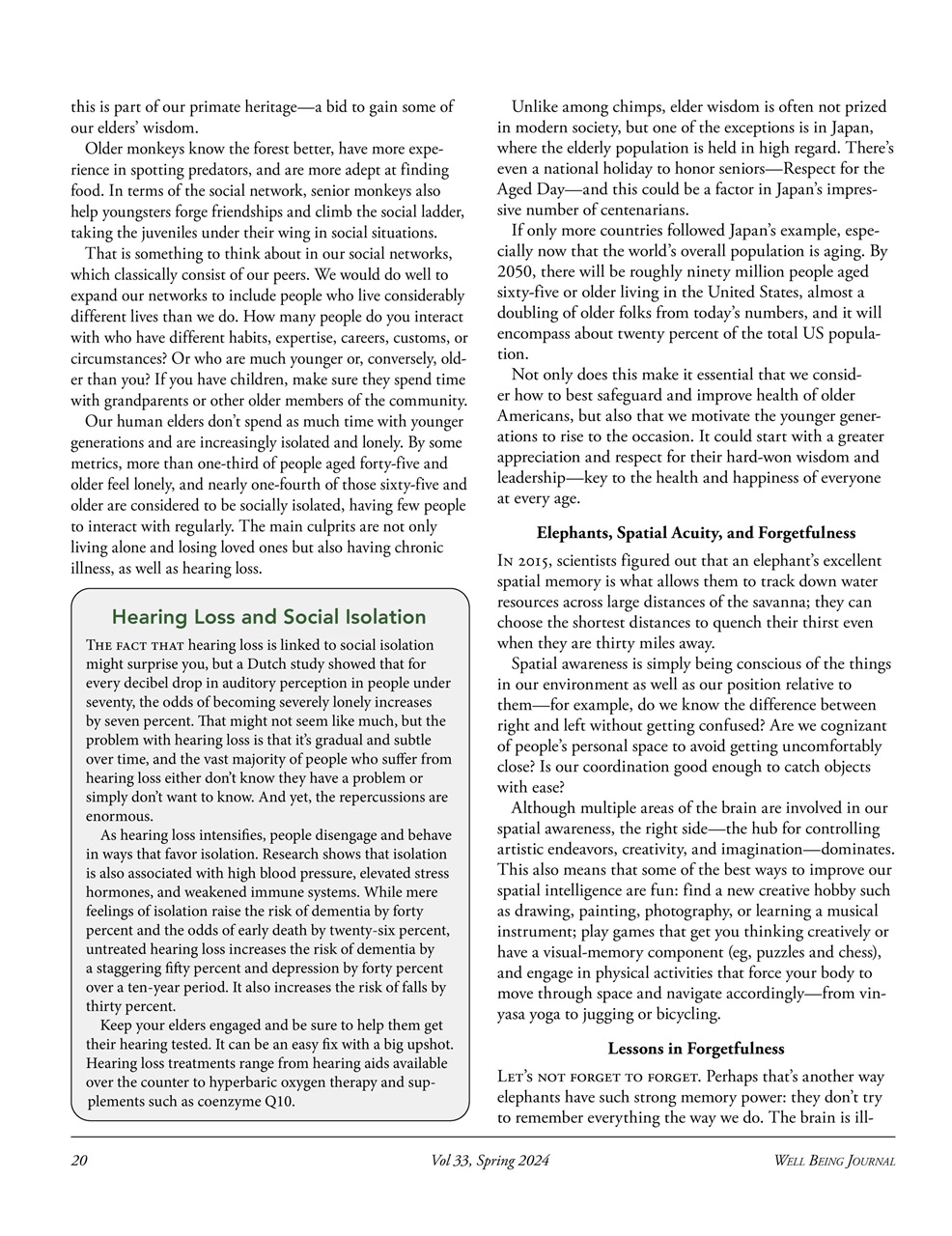 Well Being Journal Preview Pages