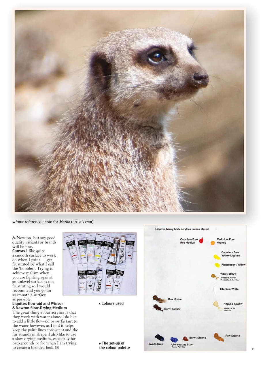 Leisure Painter & The Artist Preview Pages