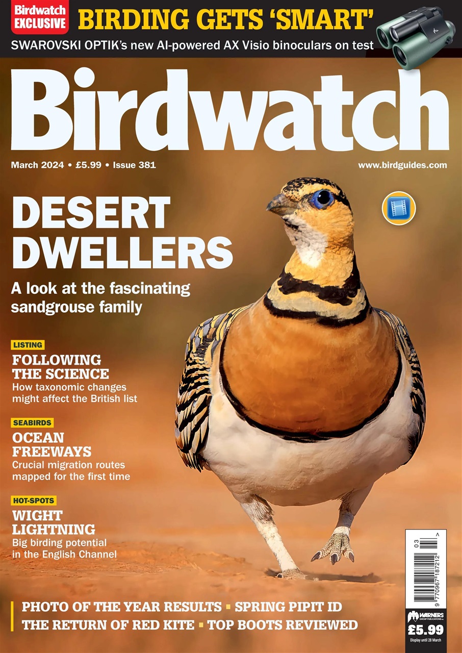 Birdwatch Magazine Preview Pages