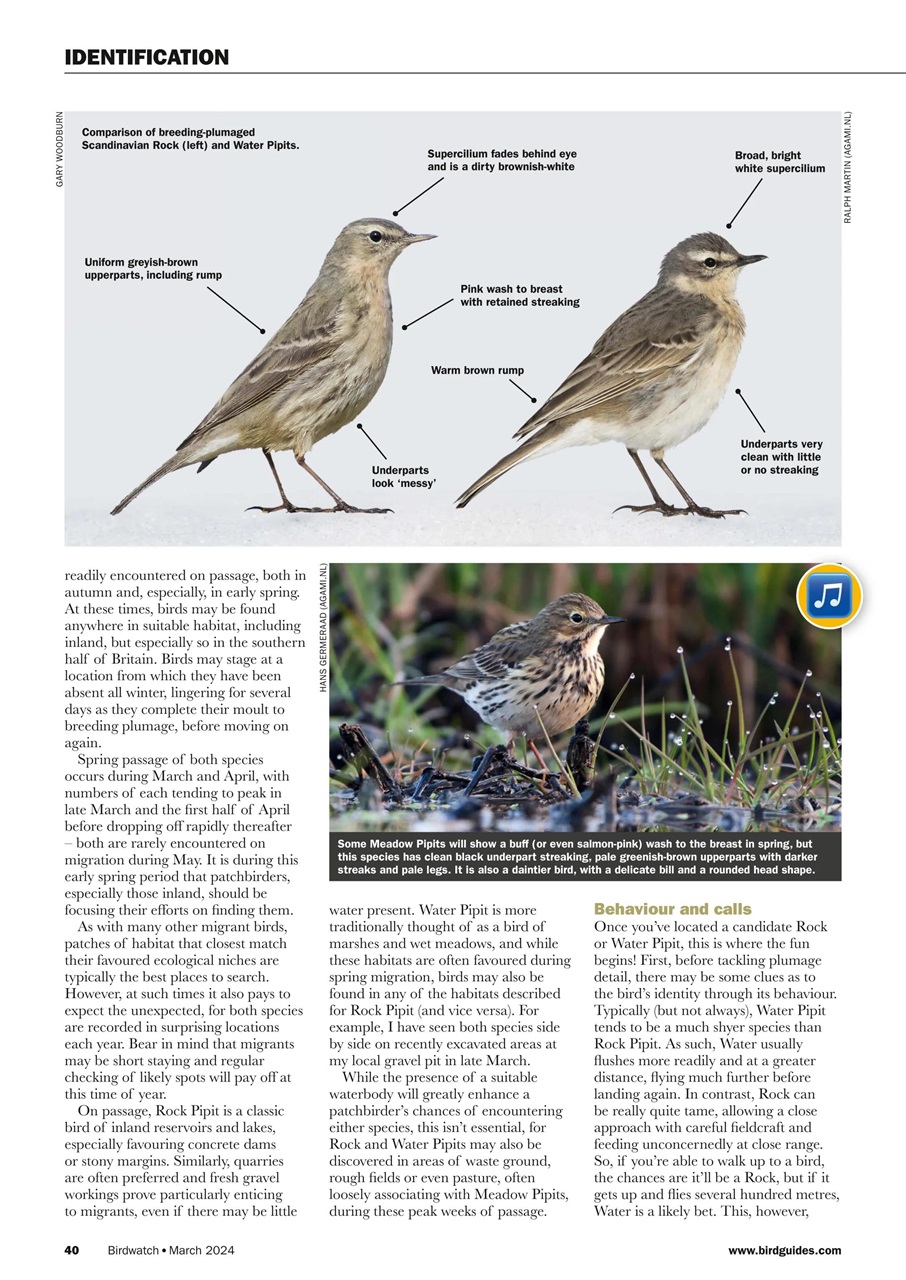 Birdwatch Magazine - March 2024 Back Issue