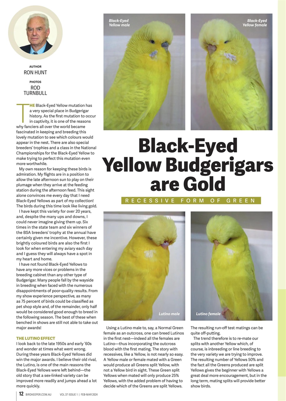 Australian Birdkeeper Magazine Preview Pages