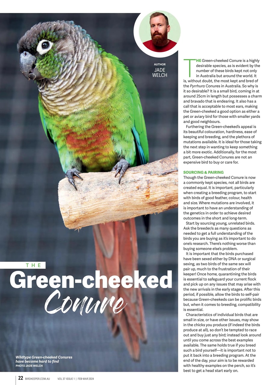 Australian Birdkeeper Magazine Preview Pages
