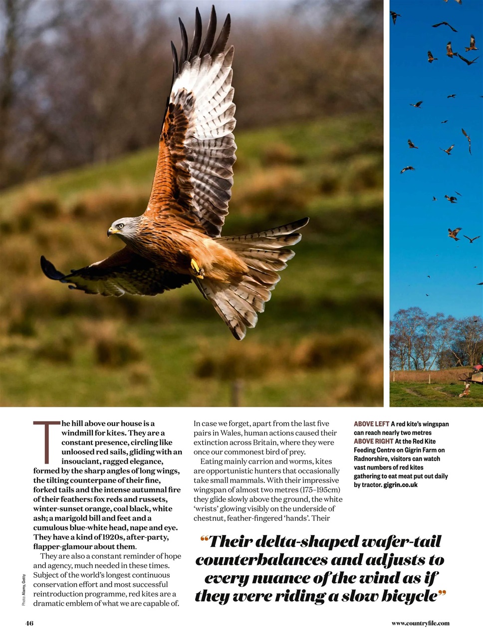 BBC Countryfile Magazine Preview Pages