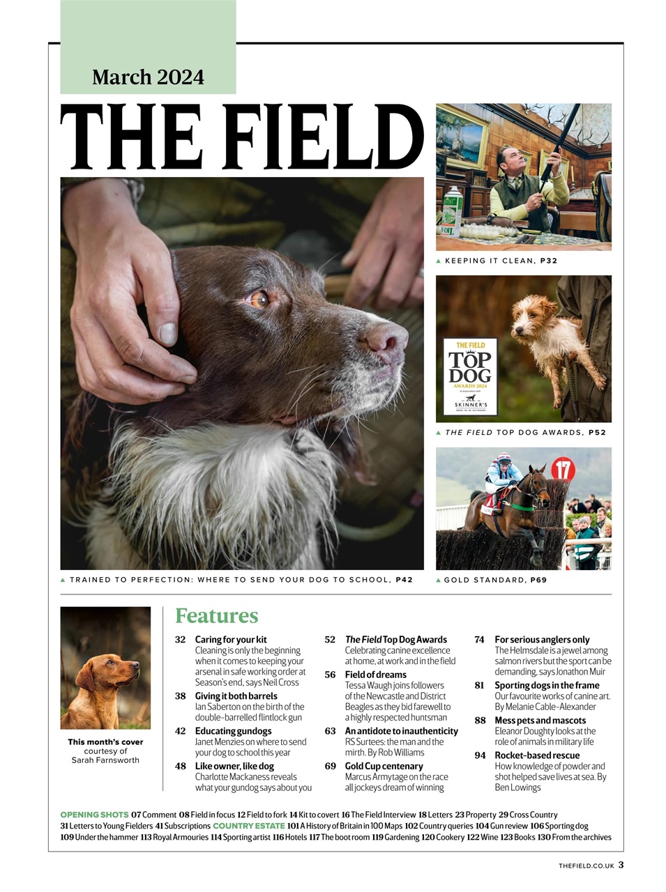 The Field Preview Pages