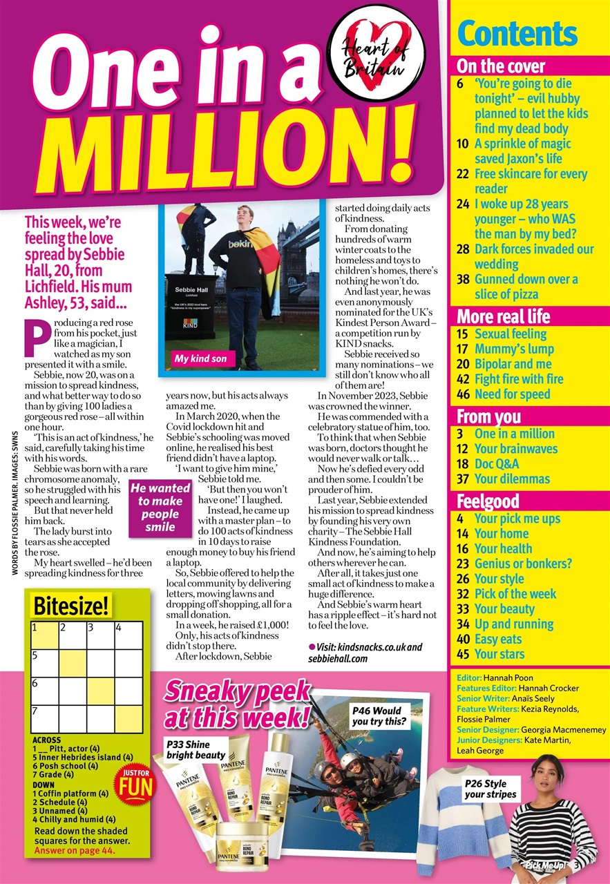 Pick Me Up Preview Pages