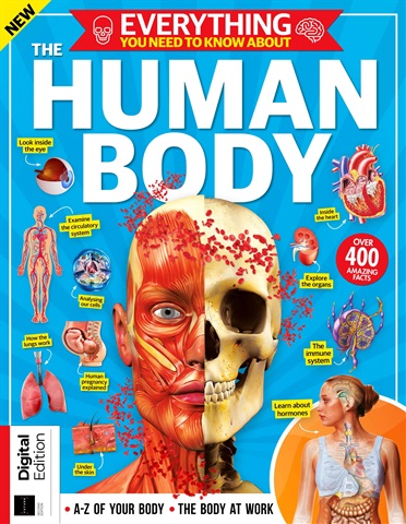 How It Works Bookazine issue Everything You Need To Know About The Human Body Second Edition