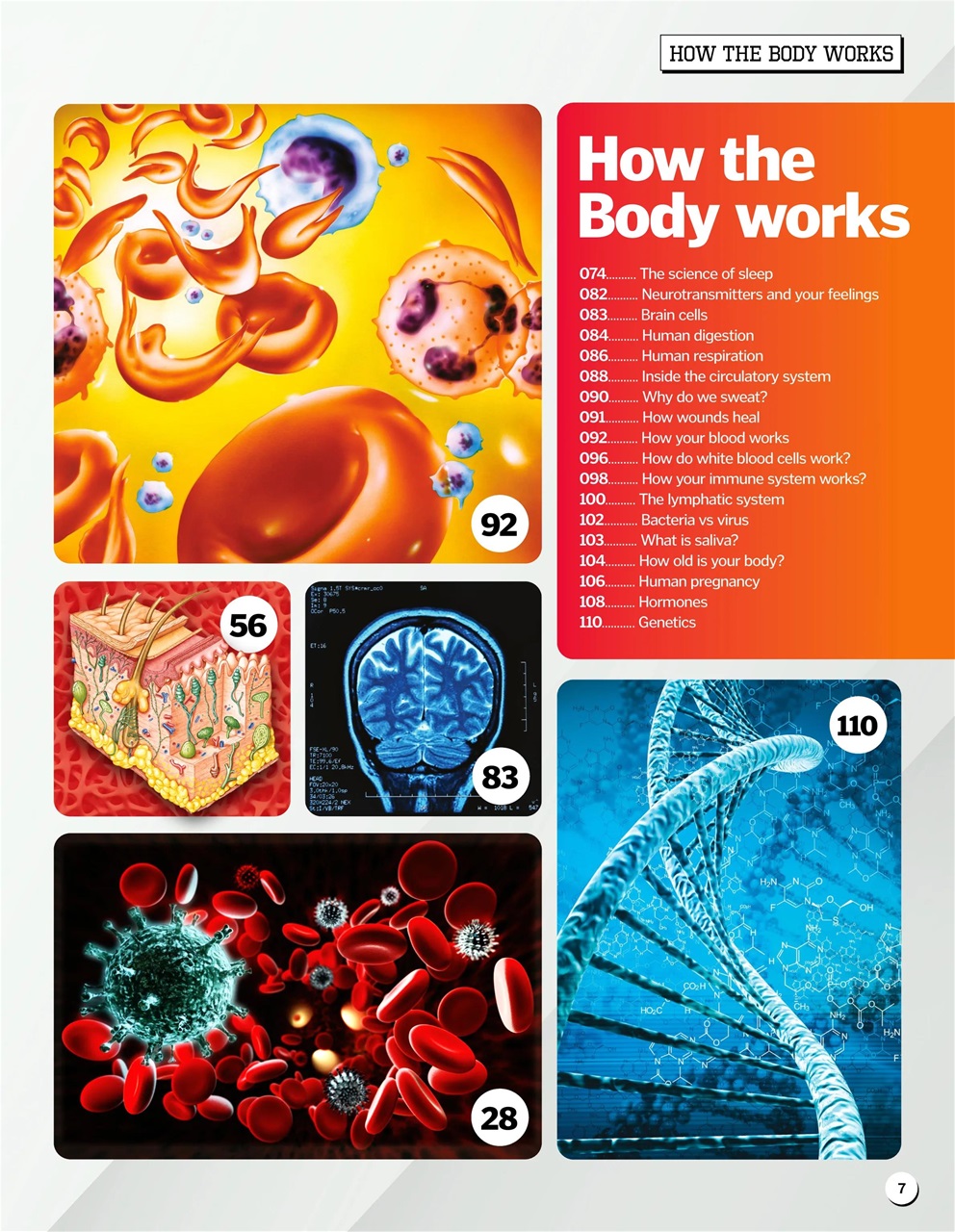 How It Works Bookazine Preview Pages