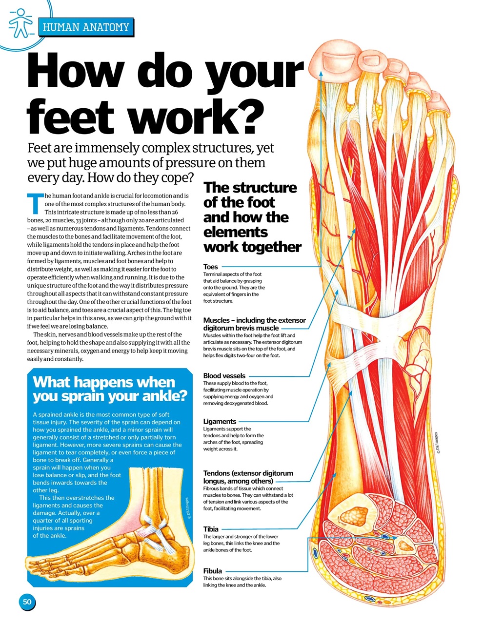 How It Works Bookazine Preview Pages